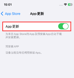 鄱阳苹果15维修中心如何让iPhone15APP自动更新